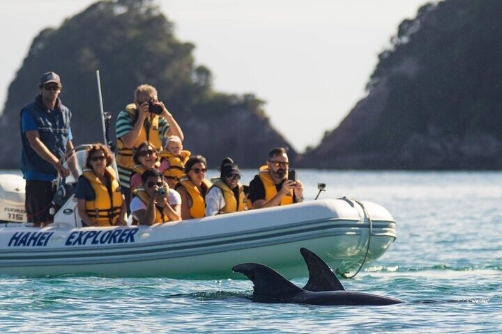 Cathedral Cove & Hot Water Beach with Lunch Tours - Photo 1 of 14